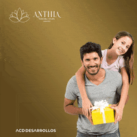 ACDDesarrollos mexico merida yucatan inversion GIF