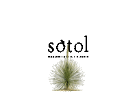 Tequila Cactus Sticker by Sotol Modern Cocktail Kitchen