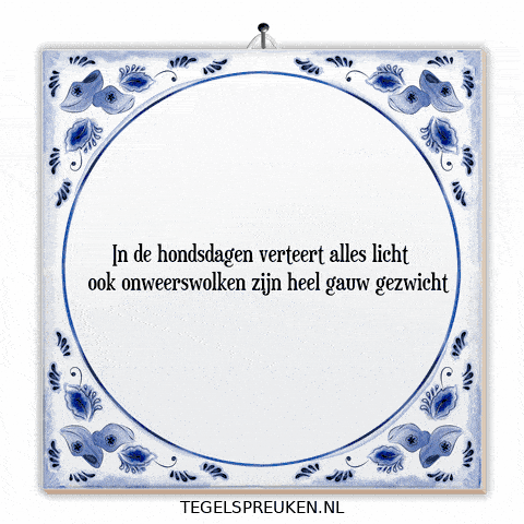 Nl Licht GIF by Tegelspreuken.nl
