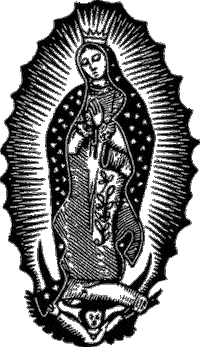 Virgen De Guadalupe Mexico Sticker by Guadalupepublicidad