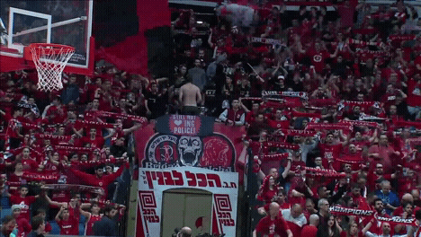 fans flag GIF by Basketball Champions League