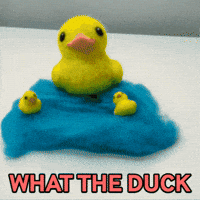 What The Wtf GIF