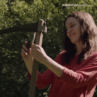 GIF by Arrow Video
