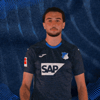Sport Bundesliga GIF by TSG Hoffenheim