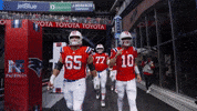 Ben Brown Football GIF by New England Patriots