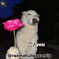 For You Flowers GIF