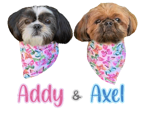 Dog Sticker