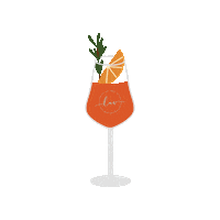 Aperolspritz Sticker by Luv Beachclub