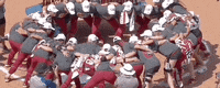 World Series Softball GIF by NCAA Championships