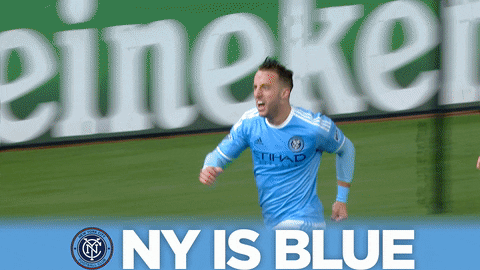 Celebration Goal GIF by NYCFC