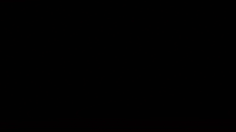 fc cologne GIF by 1. FC Köln
