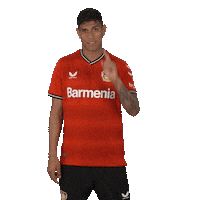 Football Camera Sticker by Bayer 04 Leverkusen