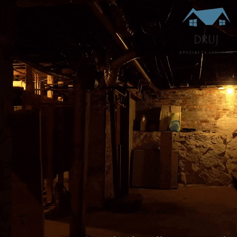 druj giphygifmaker GIF