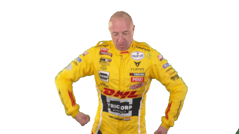 tom coronel celebration Sticker by FIA WTCR