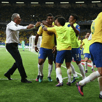 Selecao Brasileira Tite GIF by Confederação Brasileira de Futebol