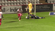 Stevenage_FC  GIF