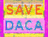 united we dream sin miedo GIF by Sabato Visconti
