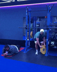 New Zealand Nz GIF
