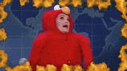 Snl Freaking Out GIF by Saturday Night Live