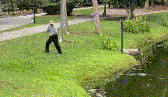 yaronzilberstein giphyupload GIF