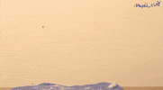 Art Mar GIF by stupid_clay