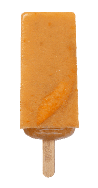 Summer Ice Sticker by Paleta Loca