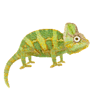 Cant Even Party Animals Sticker by chris timmons