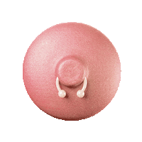 Campanha Mamas Sticker