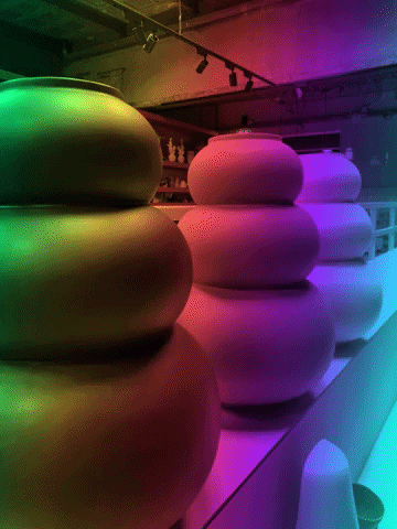 GIF by Celaine Concepts