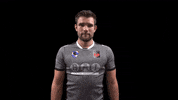 Rugby Robin GIF by FeansterRC