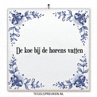 Humor Nl GIF by Tegelspreuken.nl