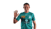 Happy Marnus Labuschagne Sticker by Brisbane Heat