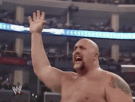 big show wrestling GIF by WWE