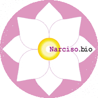 Narciso Sticker by CosmesiEcobio shoponline