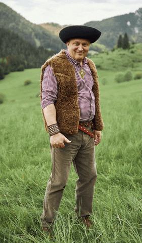 coopjednotask happy great slovensko thumbup GIF
