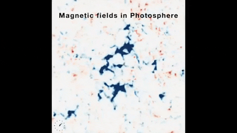 tulsimo giphygifmaker GIF