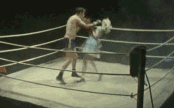 monty python boxing GIF