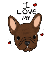 mayoliveiramkt dog pet bull bulldog Sticker