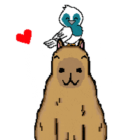 romyro22 tierno capibara pajarito romyro22 GIF