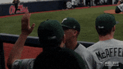 baseball wave GIF by GreenWave