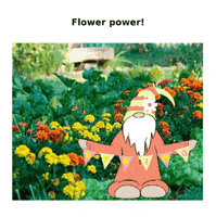 Flowers Gardening GIF