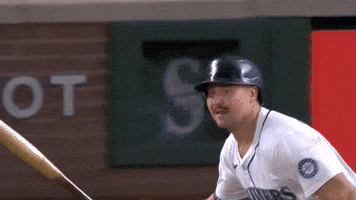 Home Run Sport GIF by MLB
