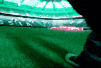Borussia Dortmund Arena GIF by Jan Metternich