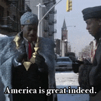 Movie gif. Eddie Murphy and Arsenio Hall as Prince Akeem and Semmi in Coming to America, Akeem explaining excitedly to Semmi, "America is great indeed, Imagine a country so free Trump Republicans can spread false claims around election results."