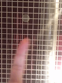 framebeta GIF by GIPHY Frame