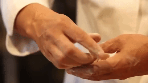 chinese food zhong guo cai GIF