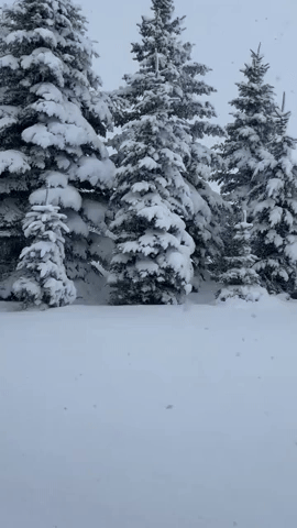 Heavy Snow Blankets Southern Montana