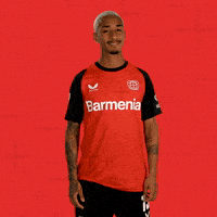 Bayer 04 No GIF by Bayer 04 Leverkusen
