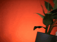 Perspectief verhuizen perspectief perspectief maakt beter perspectief groep GIF