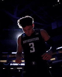 Ty Wildcats GIF by Northwestern Athletics